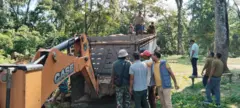 गैँडा स्थानान्तरण गर्ने तयारी