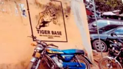 Painting on wall wey show a tiger and for di unda dem write 'Tiger Base'