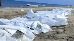 Balaa doonii Jibuutiitti qaqqabee