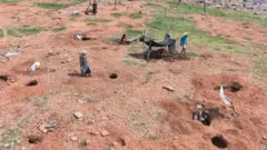 கிரீடங்கள், சங்கிலிகள், காதணிகள், ப்ரூச்சுகள், லூவர் அருங்காட்சியகக் கொள்ளை, இந்திய வைரங்கள்