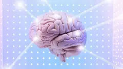 Illustration of the brain