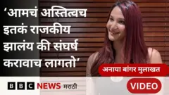 अनाया बांगर 