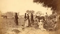 ਖੇਤ ਵਿੱਚ ਕੰਮ ਕਰ ਰਹੀਆਂ ਔਰਤਾਂ ਤੇ ਮਰਦ