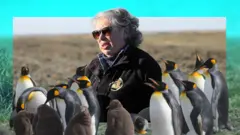 Imagen compuesta que muestra a Cecilia Durán Gafo, en Bahía Inútil, con binoculares y un abrigo polar con el logo de la Reserva Natural Pingüino Rey, y a algunos pingüinos de la colonia