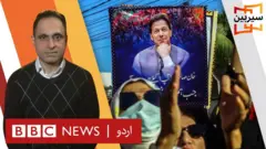 سیربین