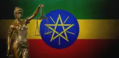 ፍትሒ