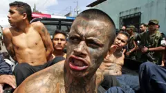 Pandillero arrestado