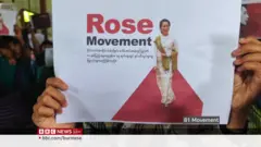 ဒေါ်အောင်ဆန်းစုကြည် မွေးနေ့နှင်းဆီလှုပ်ရှားမှု