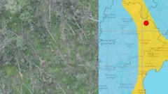 మేడారంలో కూలిన చెట్లు, భూకంపం