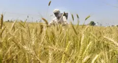 બીબીસી ગુજરાતી