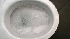 Mana fincaanii 
