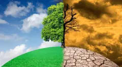 Cambio climático