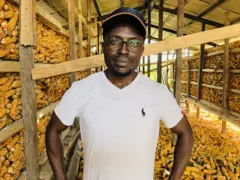 क्यामरूनका मकैदूत लोइ कम्वा