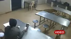 జంతువులు, వన్యప్రాణులు, తమిళనాడు, చిరుతపులి