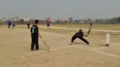 क्रिकेट