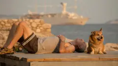 Чоловік лежить на деревʼяному помості на березі морі, поряд із ним рудий собака