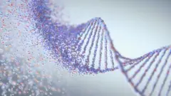 DNA