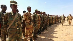 Loltoota al-Shabaab