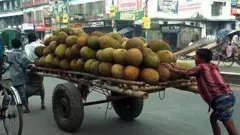ঠেলাগাড়িতে করে কাঁঠাল নিয়ে যাওয়া হচ্ছে 