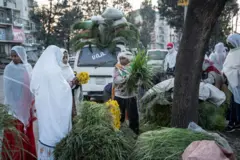 በአዲስ ዓመት ቄጤማ እና አደይ አበባ የሚሸጡ ነጋዴዎች