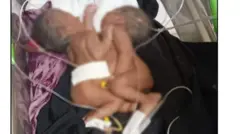 Ijoollee walitti qabatanii dhalatan