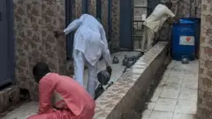 Pipo for public toilet