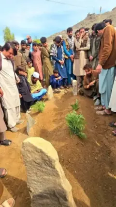 د وژل شوې ډاکټرې قبر 