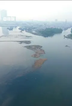 RubbishIsland