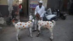 முஸ்லிம்கள் பக்ரீத் பண்டிகையன்று ஆடு, மாடு, ஒட்டகங்களை பலியிடுவது ஏன்?