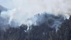 मनाङको तिमाङ जङ्गलमा कैयौँ दिनदेखि डढेलो निभ्न सकेको छैन