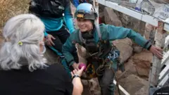 बिट्रिज फ्लेमिनी