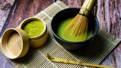 matcha-makin-populer-penduduk-kota-asal-matcha-di-jepang-makin-khawatir