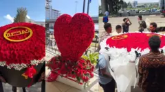 Bishii abaaboo jaarsummaaf qophaa'an