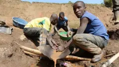 Abagabo barimo gutandukanya amabuye y'agaciro bayakuramo ibitare n'umucanga, ku itariki ya 28 Gicurasi (5) mu mwaka wa 2013, hafi y'ikirombe cya Mudere, hanze ya Rubaya, kuri kilometero 9 uvuye mu mujyi wa Goma muri Repubulika ya Demokarasi ya Congo. 