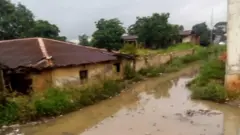 Ahia arịarịa.
