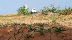 প্রত্যক্ষদর্শীরা বলছেন, আরএসএফ কয়েক ডজন লোকের লাশ গর্ত করে মাটিচাপা দিয়েছে 