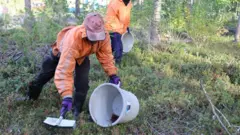 กระทรวงแรงงาน