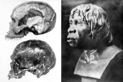 O crânio do Homem de Piltdown e uma reconstrução de como ele teria sido