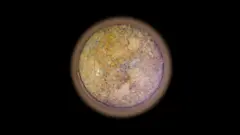 Imagem de um núcleo rochoso retirado de Marte, mostrando uma fatia circular da amostra de rocha sobre fundo preto. A amostra é laranja e pontilhada com marcas brancas, cinza e pretas.