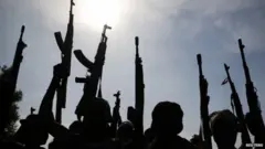 Miliishiyooyinkan waxay walaac weyn ku soo kordhiyeen caalamka