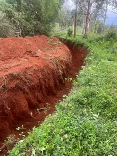 நீலகிரி, கூடலூர், யானை - மனித மோதல்