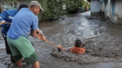 سیل در رومانی