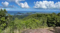 Vista de uma mata em Antígua, com a praia ao fundo