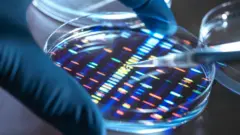 O DNA pode armazenar enorme quantidade de dados e suas necessidades de conservação não consomem muita energia. Por isso, ele pode vir a ser o meio perfeito de armazenamento de dados.