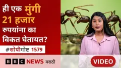 मुंग्या