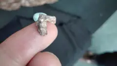 Una fotografía de primer plano de dos pequeños huesos apoyados sobre la punta de un dedo.