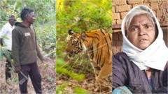 ग्राऊंड रिपोर्ट : 32 नोकऱ्यांसाठी 18 हजार झाडं जाणार? महाराष्ट्रातल्या 'या' खाणीनं कोणाचा 'विकास' होणार?