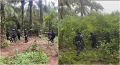 Mgbe ndị uweojii na-epogharị n'ime ọhịa dị n'Okigwe ịchọ ndị ojiegbe na-akpa ike ebe ahụ.