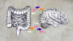 गट हेल्थ