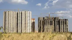 عکس از پوریا ترابی